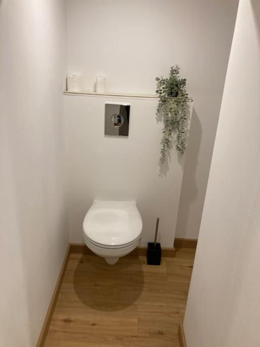 Appartement Chaleureux Proche Centre Clermont-Ferrand Buitenkant foto